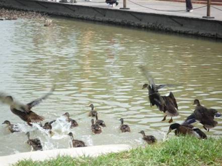 //itcs.sqwz88.com/chn/news/2009/2009026/image010.jpg